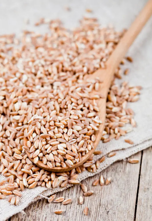 Bio Weizen in Demeter Qualität 500g Clasen Bio