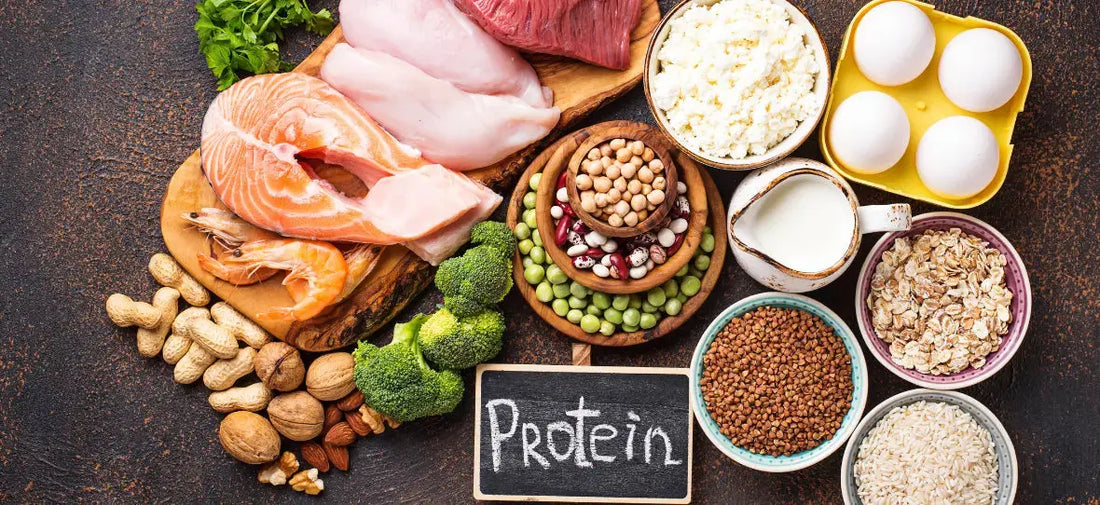 Auswahl proteinreicher Lebensmittel auf einem dunklen Untergrund, darunter Lachs, Geflügel, Eier, Hüttenkäse, Milch, Hülsenfrüchte, Nüsse, Saaten, Haferflocken und Reis. In der Mitte steht eine kleine Tafel mit dem Wort ‚Protein‘.