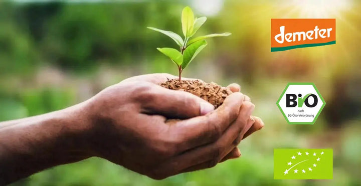 In der Natur geformte Hände halten Erde mit einer kleinen grünen Pflanze. Rechts neben den Händen sind die Logos von Demeter, dem EU-Bio-Logo und dem deutschen Bio-Siegel zu sehen.