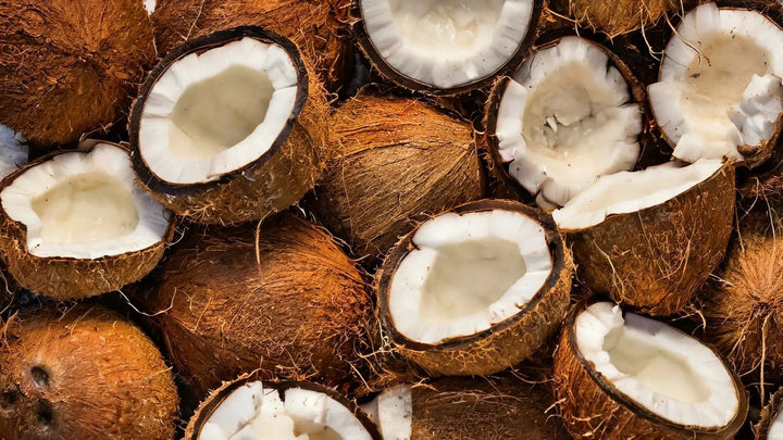 Viele Kokosnüsse von oben fotografiert, einige ganz, einige halbiert.