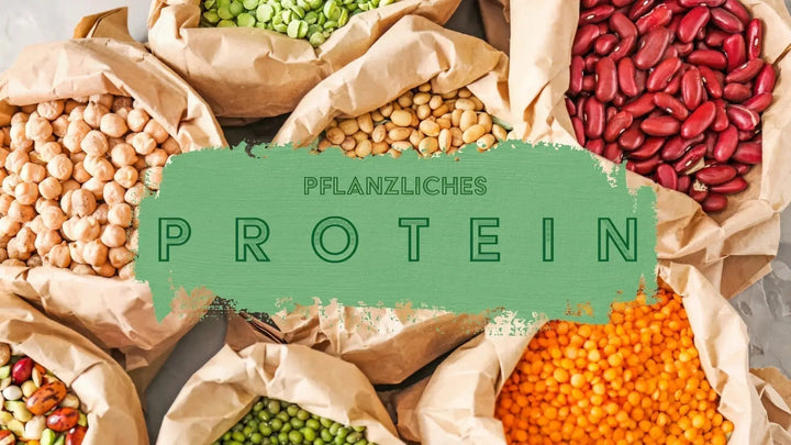 Von oben fotografierte offenen Beutel mit verschiedenen getrockneten Hülsenfrüchten wie Linsen, Bohnen und Kichererbsen. In der Mitte steht der Schriftzug „Pflanzliches Protein“.