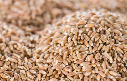 Bio Dinkel in Demeter Qualität 500g Clasen Bio