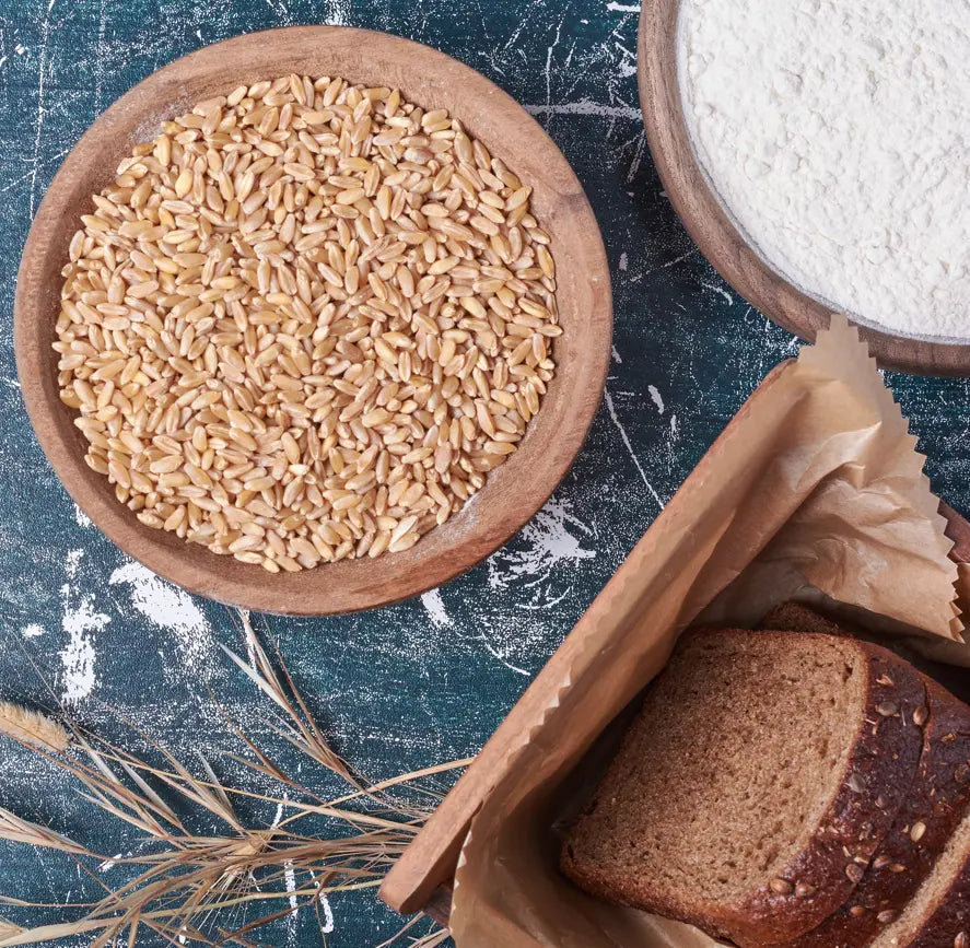 Bio Einkorn in Demeter Qualität 500g Clasen Bio